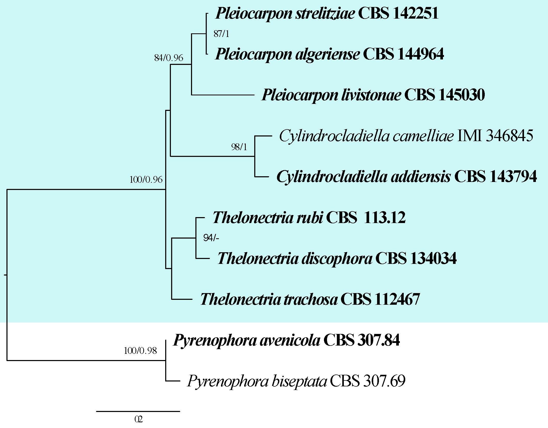 Figure 32